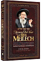 Around the year with Rav Elimelech Biderman